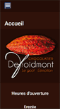Mobile Screenshot of chocolatier-defroidmont.be